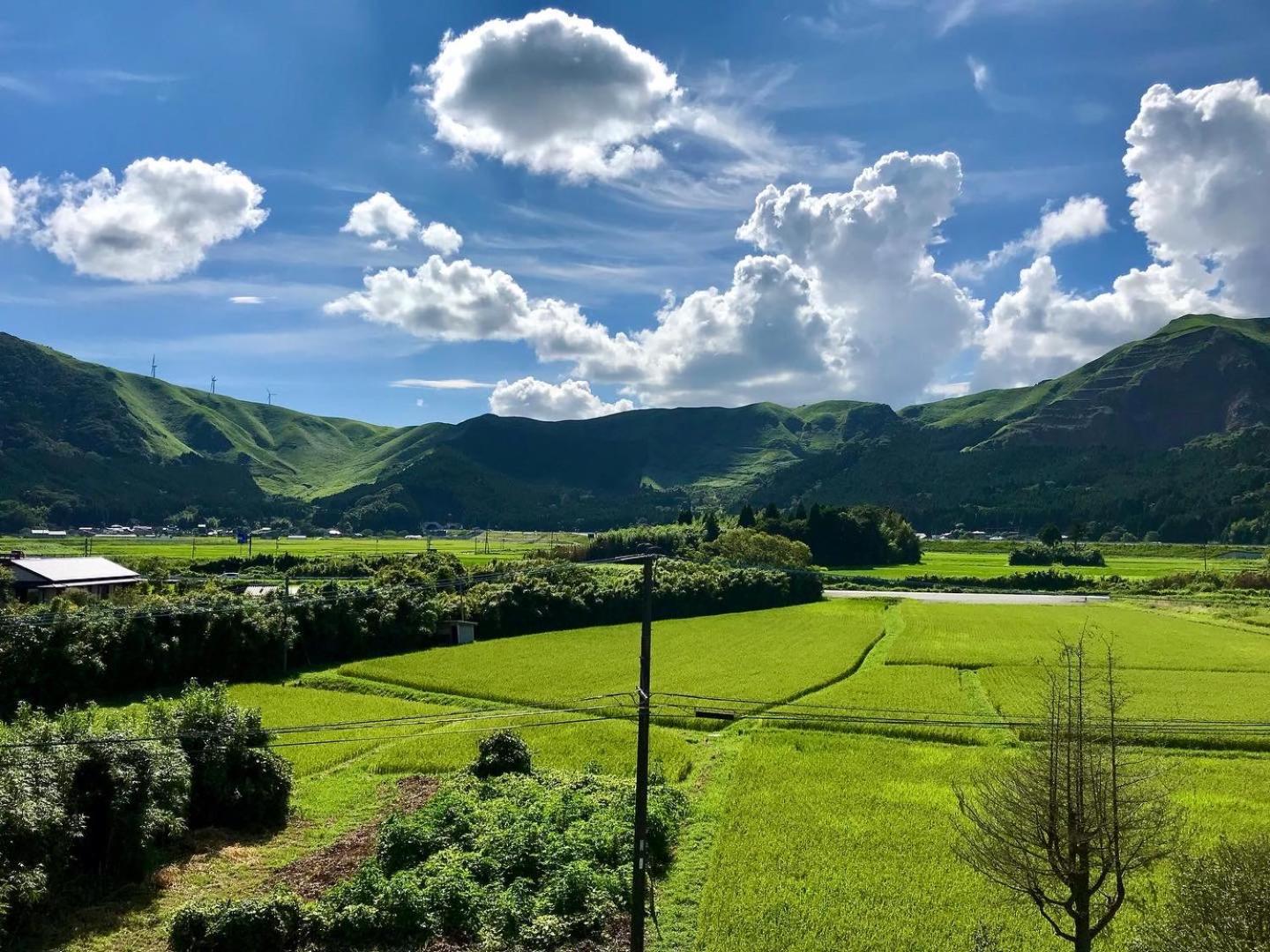 旅館 阿蘇　白雲山荘